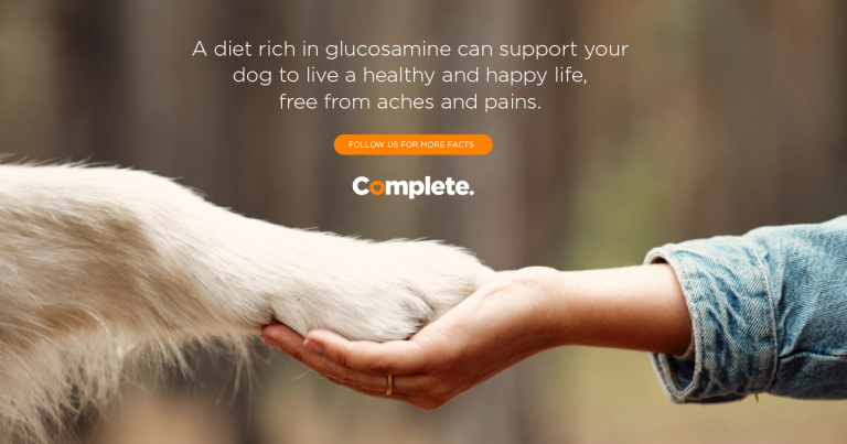 Glucosamine in Dog Food