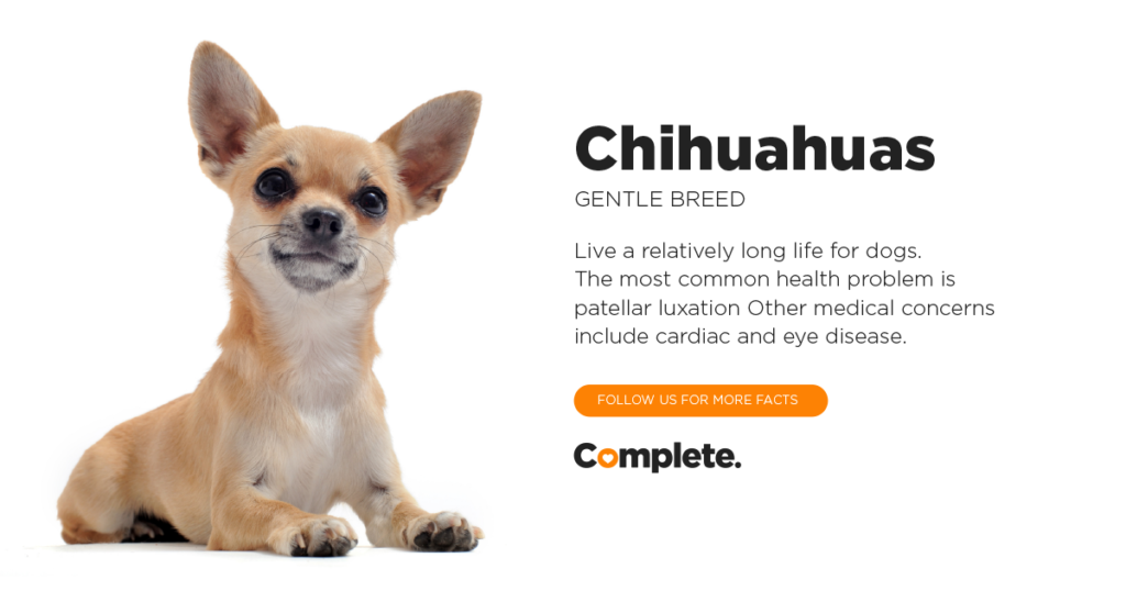 what dog breeds have the most health problems