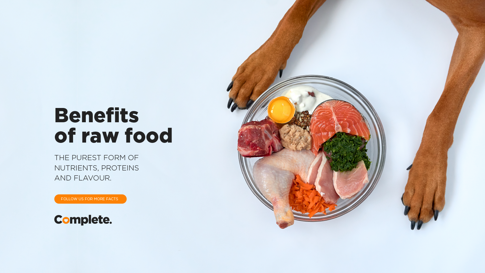 Raw Food Versus Regular Kibble Complete Pet Foods