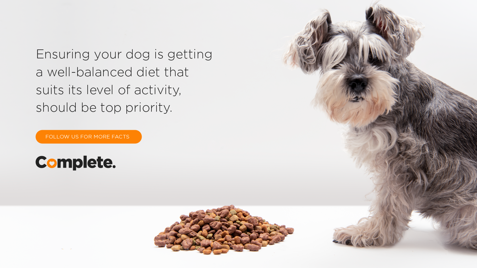 Dog Food Quality vs Price Complete Pet Foods