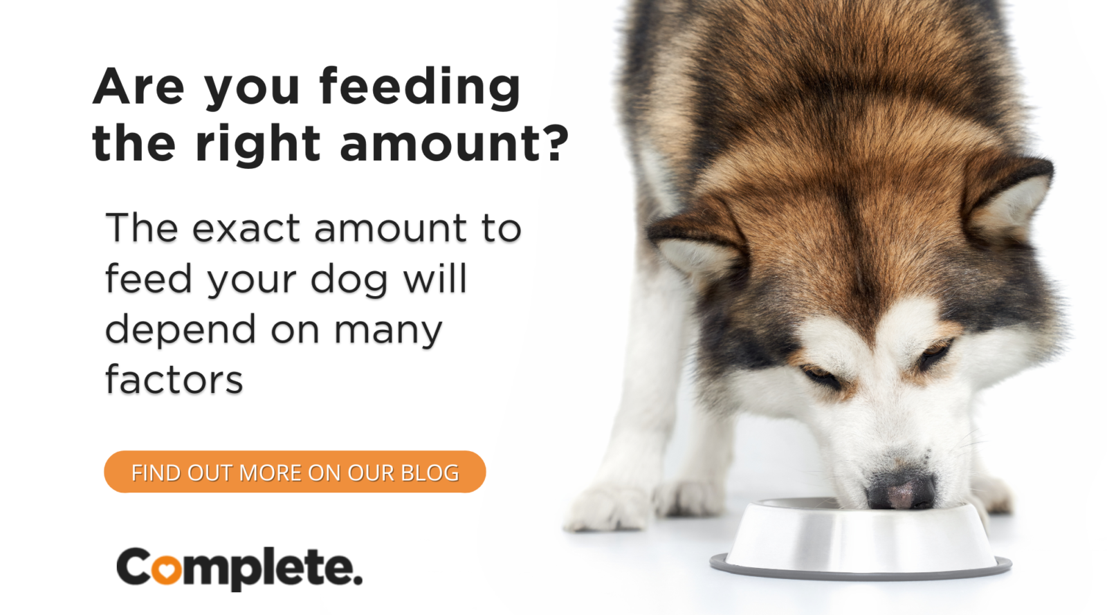 ARE YOU FEEDING YOUR DOG THE RIGHT AMOUNT? Complete Pet Foods