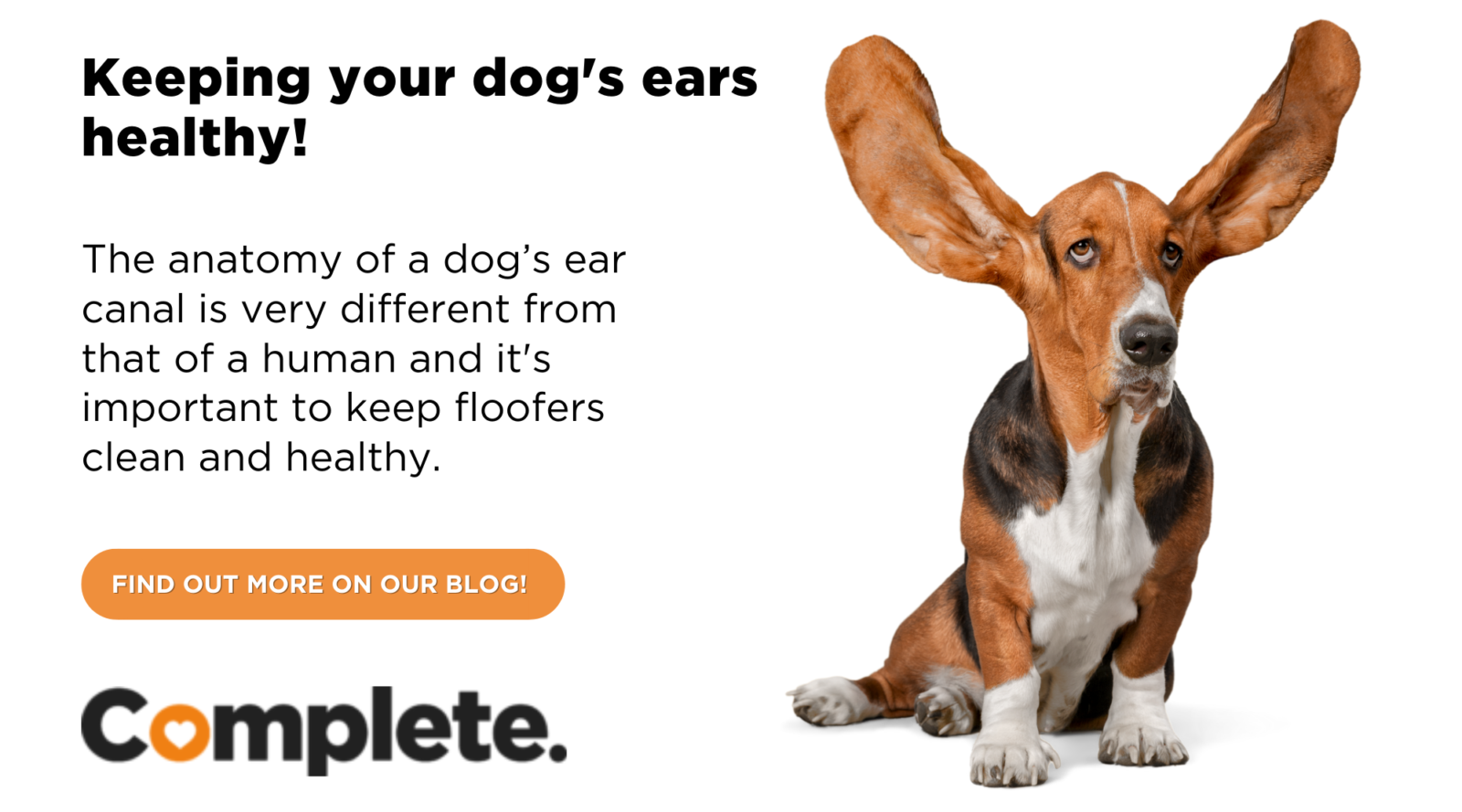 EAR HYGIENE IN DOGS Complete Pet Foods