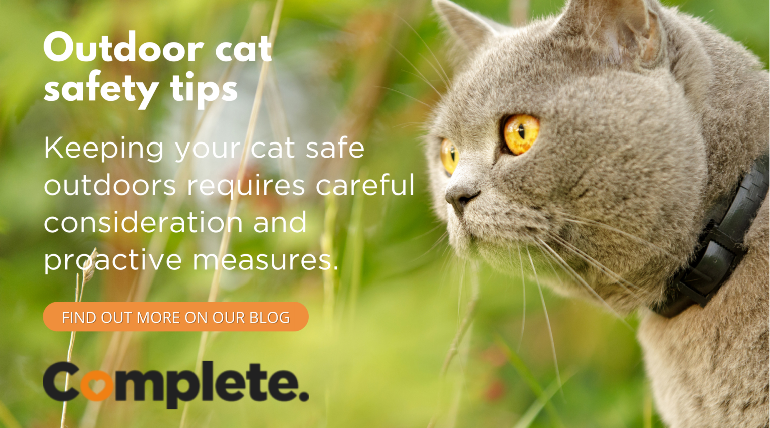 KEEPING YOUR OUTDOOR CAT SAFE Complete Pet Foods