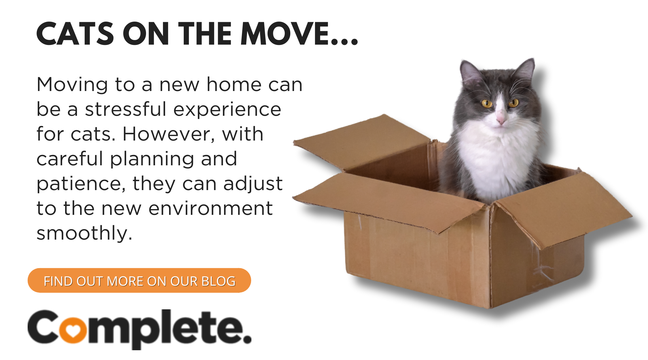 HELPING A CAT ADJUST WHEN MOVING TO A NEW HOME - Complete Pet Foods
