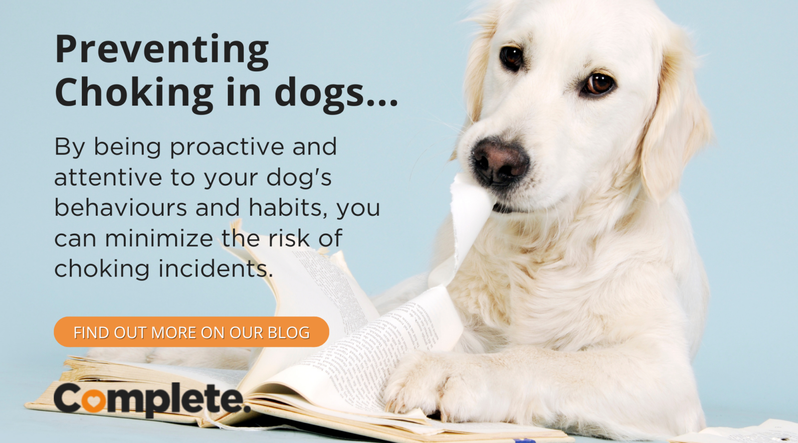 Fresh Look at Preventing Choking In Dogs