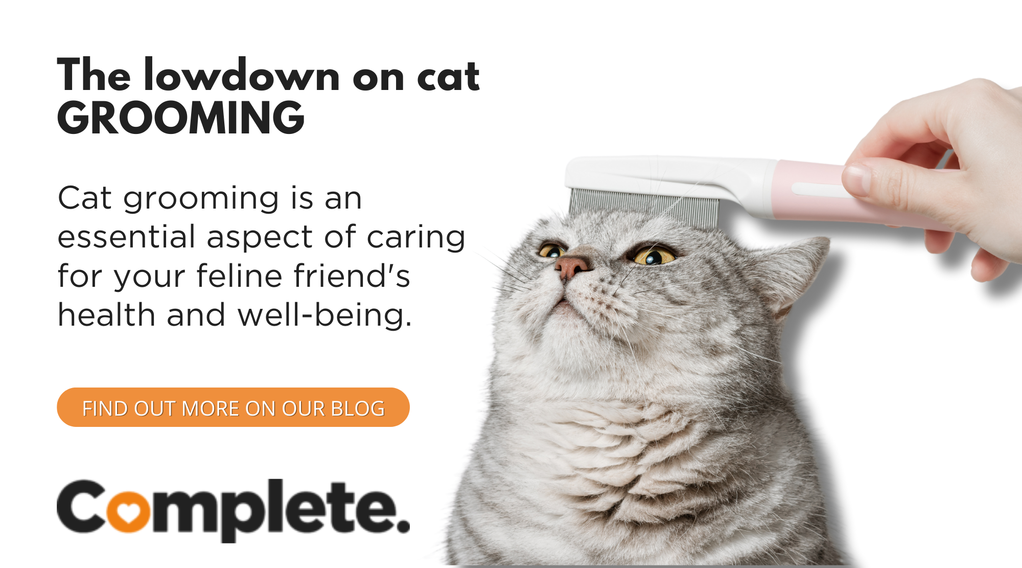 Photo inspiration: Fresh Look at The Lowdown On Cat Grooming