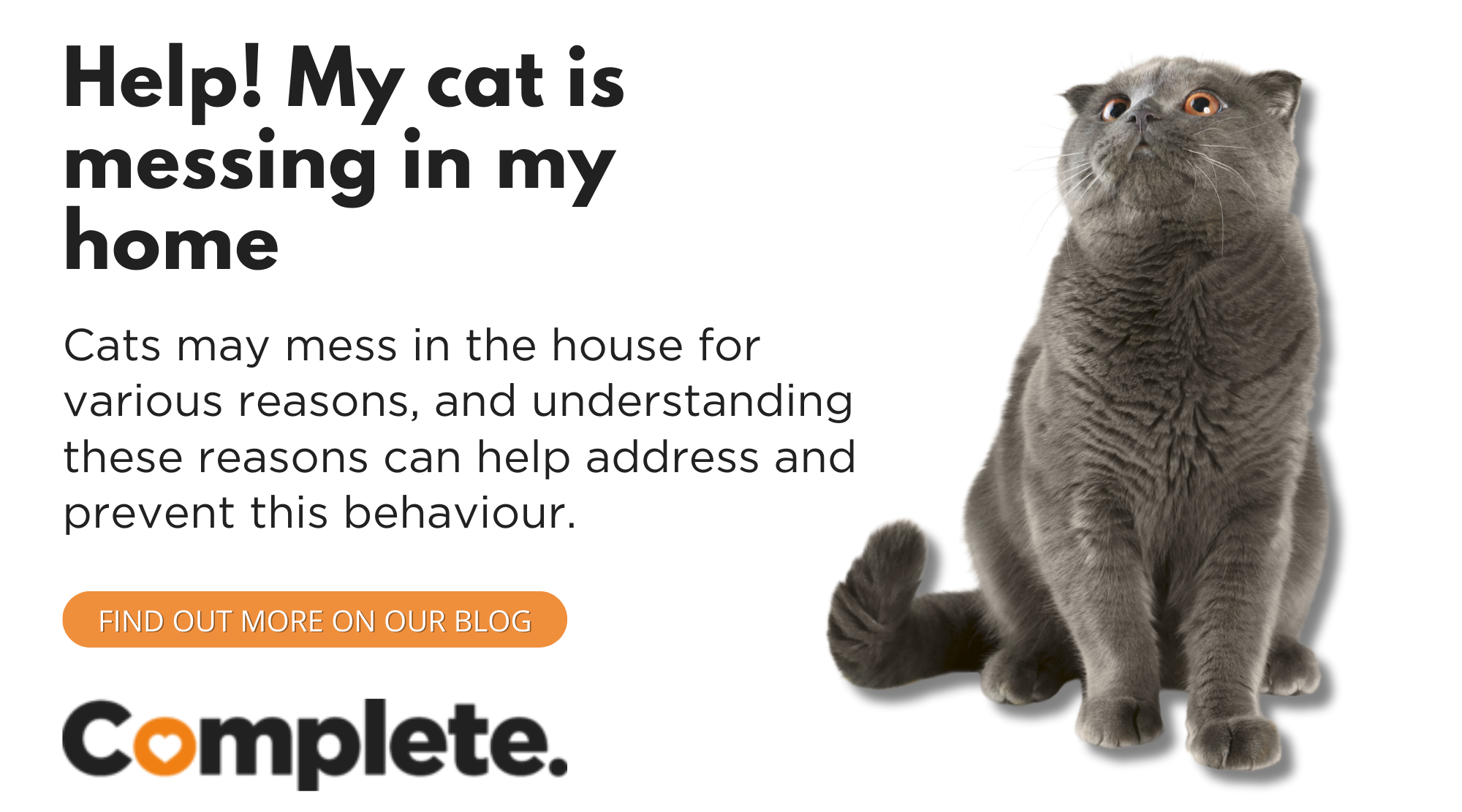 WHY YOUR CAT IS MESSING IN YOUR HOME… - Complete Pet Foods