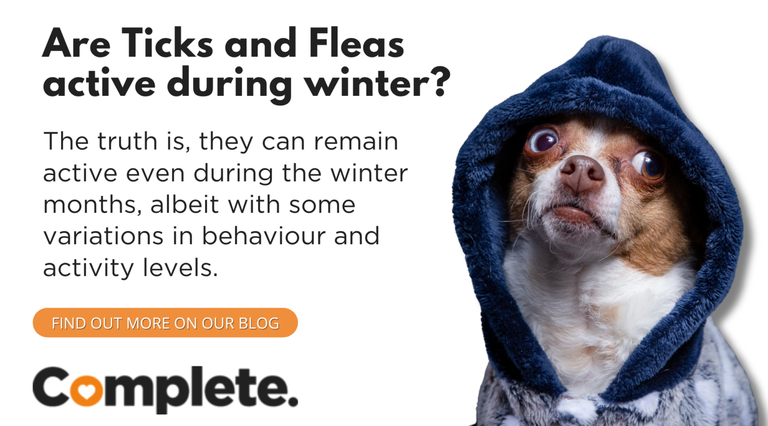ARE TICKS AND FLEAS STILL ACTIVE DURING WINTER MONTHS? Complete Pet Foods