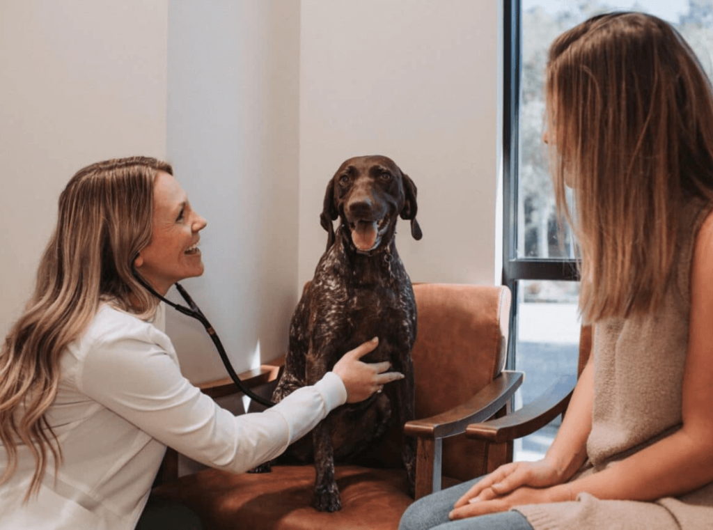 A veterinarian using a stethoscope to check a dog’s health and talking with the dog owner.