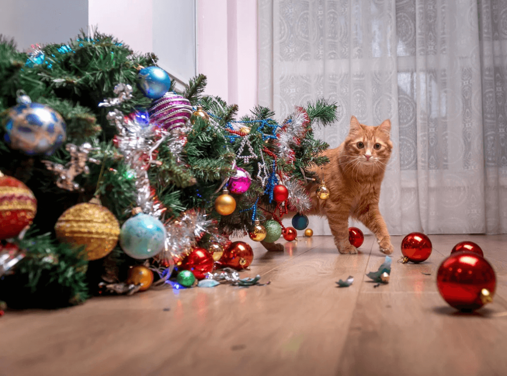 A cat stands beside a fallen Christmas tree surrounded by scattered baubles and tinsel after knocking it over.