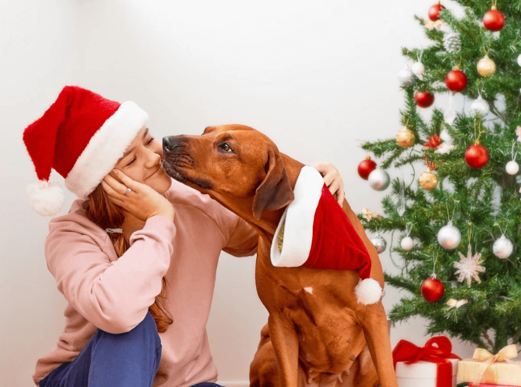 A woman wearing a Santa hat with her dog beside a Christmas tree decorated with ornaments and presents.