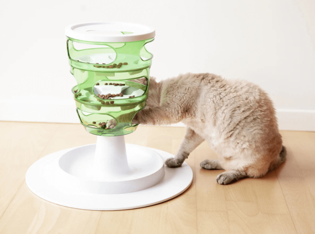 A cat playing with kibble in an interactive feeding toy.